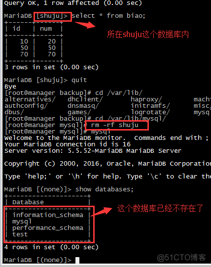 MYSQL的mysqldump+binlog备份_数据库_07