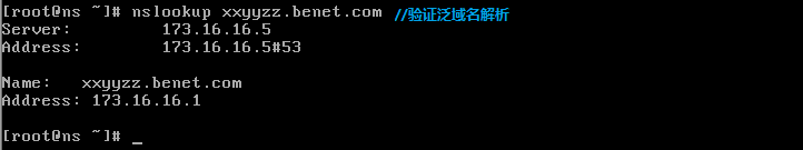 dns 主域名服务器_dns _16