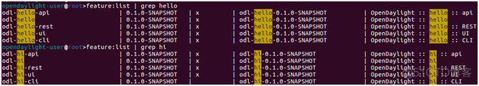 SDN in Action: OpenDaylight MD-SAL Programming_SAL _06