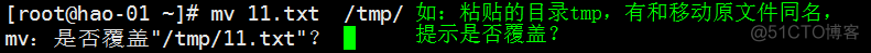 2.10环境变量PATH；2.11cp命令；2.12mv命令；2.13文档查看cat_more..._环境变量_23