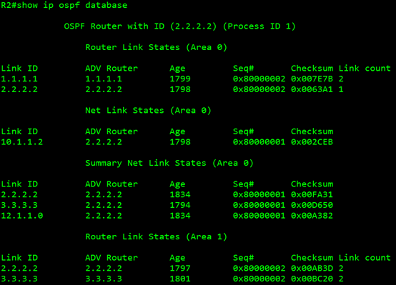 OSPF基本配置_思科_05