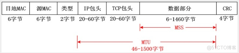 IPv4报文格式_BFD_04