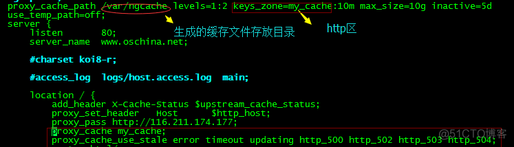 Nginx代理访问网站及实现缓存_nginx_05