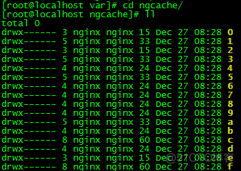 Nginx代理访问网站及实现缓存_nginx_08