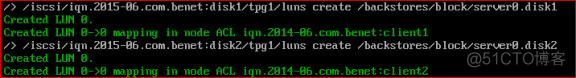 ISCSI 网络存储服务_Linux_12