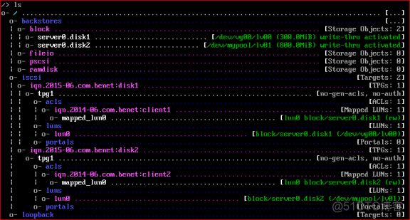 ISCSI 网络存储服务_Linux_13