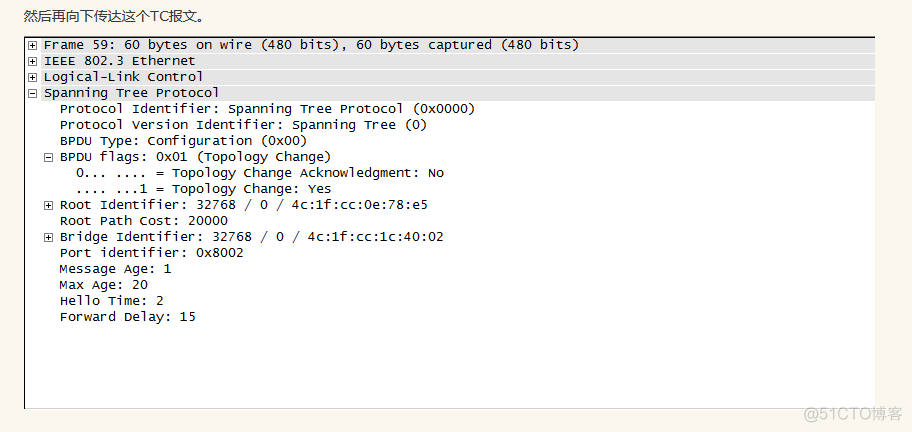 STP BPDU报文_STP