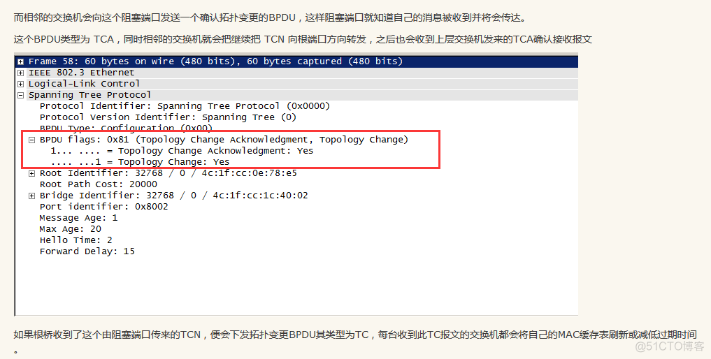 STP BPDU报文_STP_02