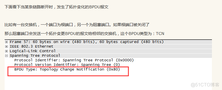 STP BPDU报文_STP_03