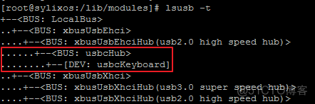 SylixOS lsusb命令解析_ x86 _06