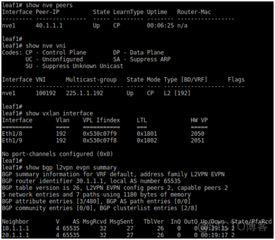 SDN in Action: Deploy VXLAN with MP-BGP EV_P_N_MP_07