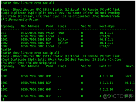 SDN in Action: Deploy VXLAN with MP-BGP EV_P_N_BGP _20