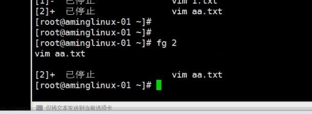 8.6 管道符和作业控制 8.7/8.8 shell变量 8.9 环境变量配置文件_shell_06