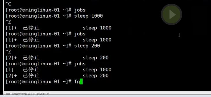 8.6 管道符和作业控制 8.7/8.8 shell变量 8.9 环境变量配置文件_作业_12