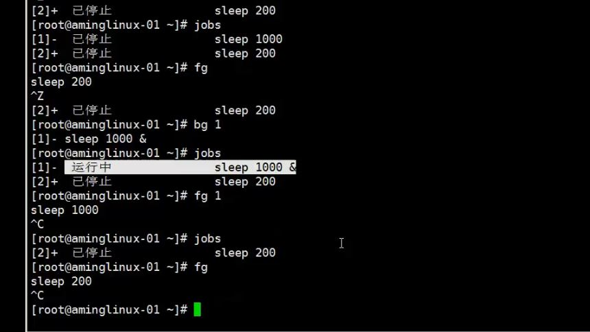 8.6 管道符和作业控制 8.7/8.8 shell变量 8.9 环境变量配置文件_shell_14