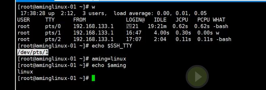 8.6 管道符和作业控制 8.7/8.8 shell变量 8.9 环境变量配置文件_shell_25