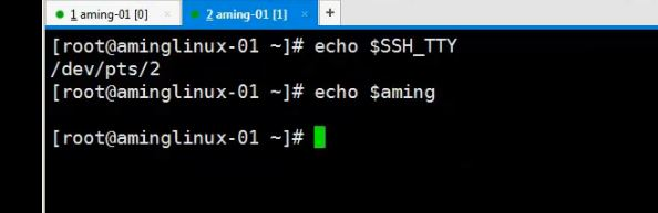 8.6 管道符和作业控制 8.7/8.8 shell变量 8.9 环境变量配置文件_shell_26