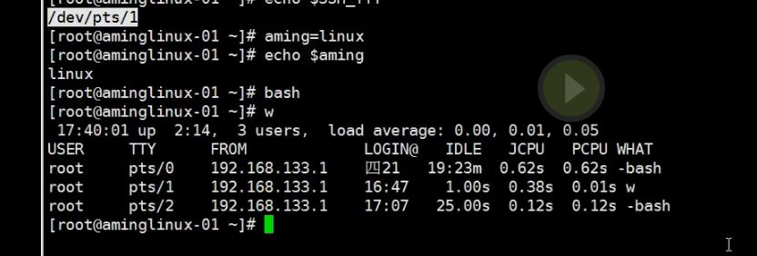 8.6 管道符和作业控制 8.7/8.8 shell变量 8.9 环境变量配置文件_shell_27