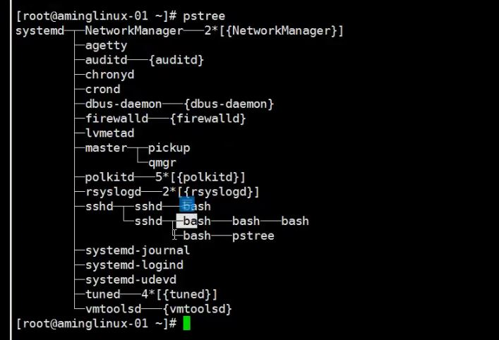 8.6 管道符和作业控制 8.7/8.8 shell变量 8.9 环境变量配置文件_shell_34