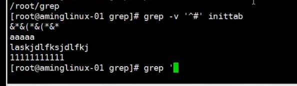 9.1 正则介绍_grep上 9.2 grep中 9.3 grep下_grep_25