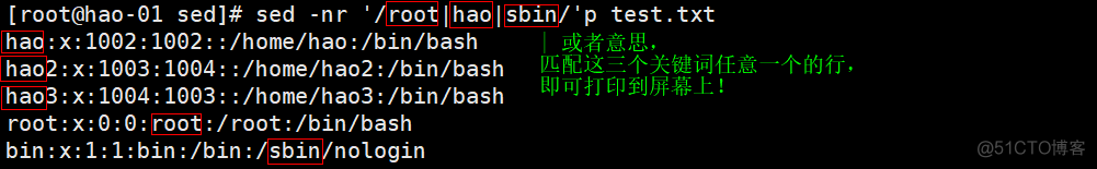 9.4 sed(上)；9.5 sed(下)_sed_11