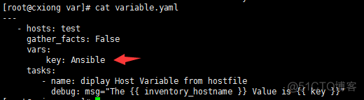 ansible playbook组件1_ansible变量_05