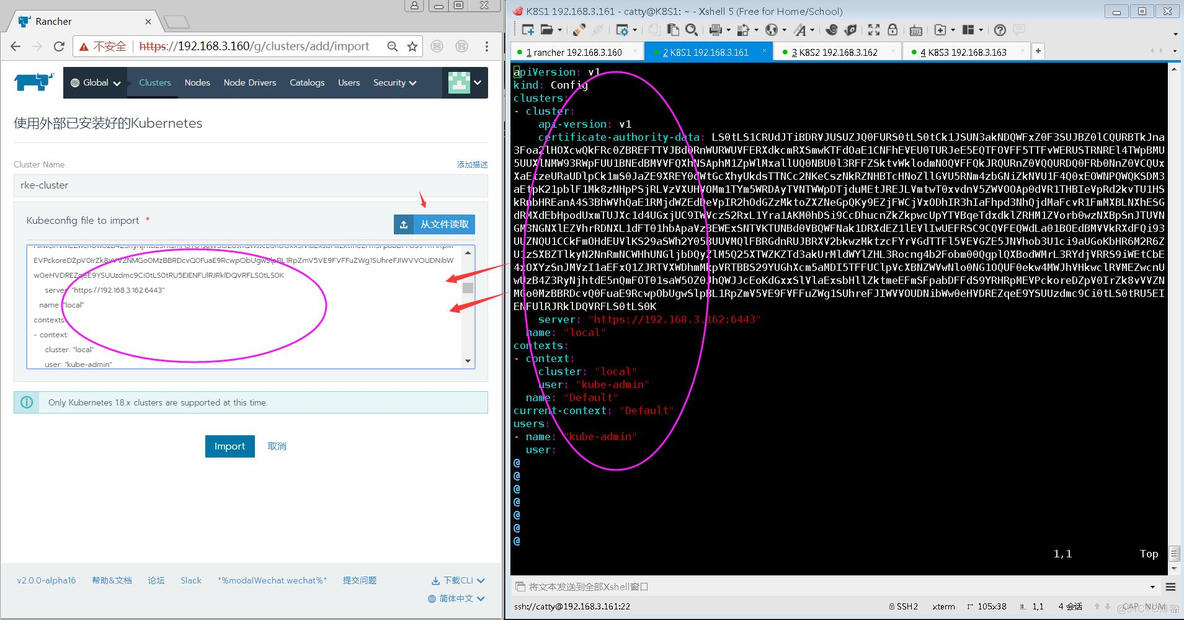 Rancher2.0导入本地RKE Kubernetes集群图解_rancher_06