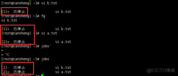 八（2）管道符和作业控制、shell变量、环境变量配置文件_shell_03