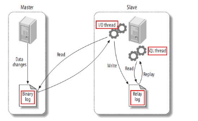 mysql主从同步以及原理_mysql