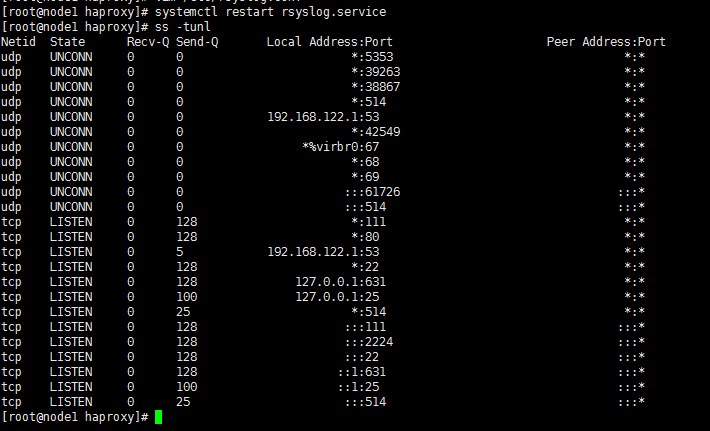 Linux自学笔记——haproxy_代理_10