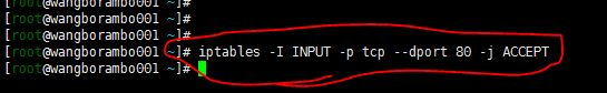 11.14/11.15 Apache和PHP结合 11.16/11.17 Apache默认虚拟主机_PHP_08