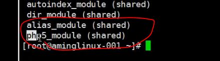 11.14/11.15 Apache和PHP结合 11.16/11.17 Apache默认虚拟主机_PHP_28