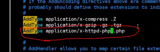 11.14/11.15 Apache和PHP结合 11.16/11.17 Apache默认虚拟主机_PHP_33