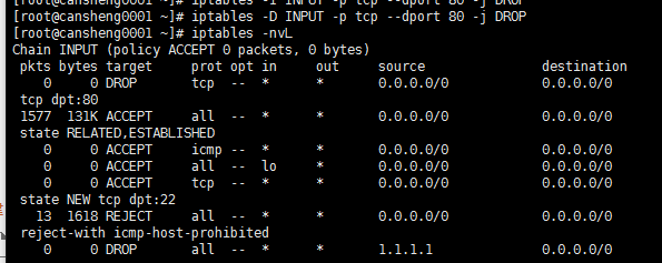 十（4）iptables语法、iptables filter表小案例、iptables nat表应用_iptables_09