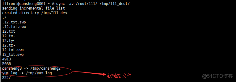 十（7）rsync：介绍、常用选项、通过ssh同步、通过服务同步、linux系统日志、screen_rsync_04