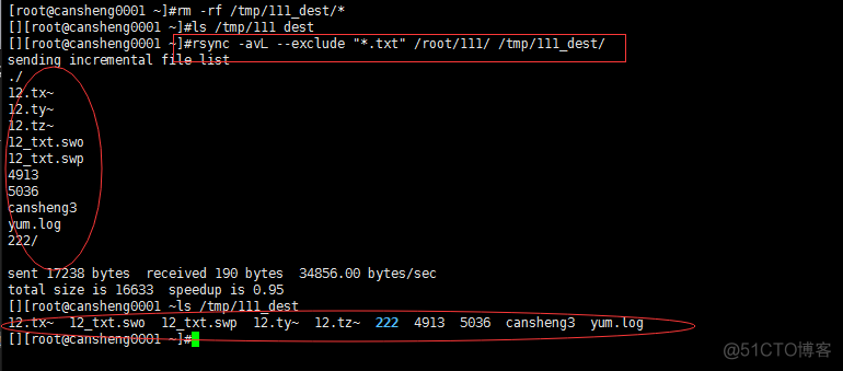 十（7）rsync：介绍、常用选项、通过ssh同步、通过服务同步、linux系统日志、screen_rsync_09