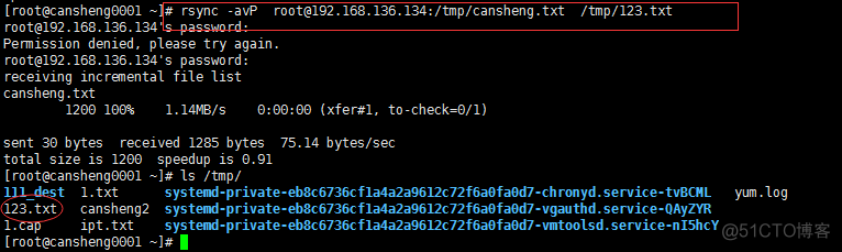 十（7）rsync：介绍、常用选项、通过ssh同步、通过服务同步、linux系统日志、screen_介绍_14