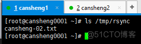 十（7）rsync：介绍、常用选项、通过ssh同步、通过服务同步、linux系统日志、screen_介绍_29