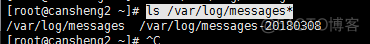 十（7）rsync：介绍、常用选项、通过ssh同步、通过服务同步、linux系统日志、screen_介绍_40