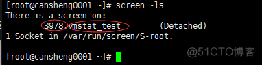 十（7）rsync：介绍、常用选项、通过ssh同步、通过服务同步、linux系统日志、screen_介绍_50