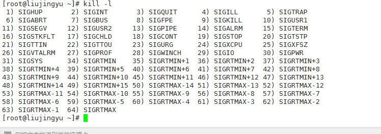 linux进程管理——进程管理相关命令_top_17