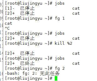 linux进程管理——进程管理相关命令_ps_20