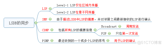 IS-IS知识点_IS-IS_03