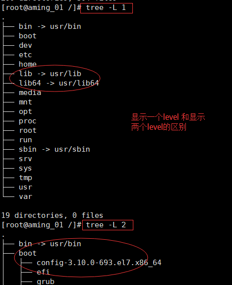 Linux 20180409文件目录管理_ 第二部分_03