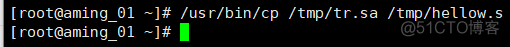 Linux 20180411 cp命令等_ cat_02