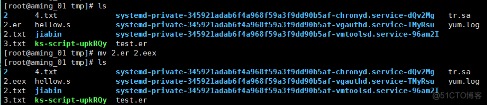 Linux 20180411 cp命令等_ mv_05