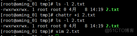 Linux 20180412 隐藏权限lsattr_chattr等_特殊权限