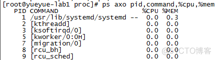 Linux 进程管理命令之ps_管理命令 _13