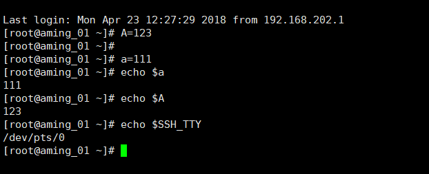 26期20180629 管道符 作业控制 shell变量 环境变量配置文件_环境变量_17