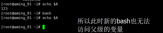 26期20180629 管道符 作业控制 shell变量 环境变量配置文件_管道符_19